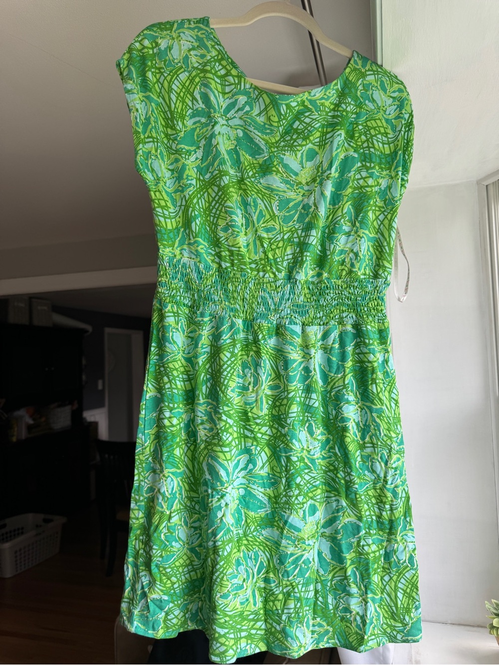 Lilly Pulitzer Daniella dress size small